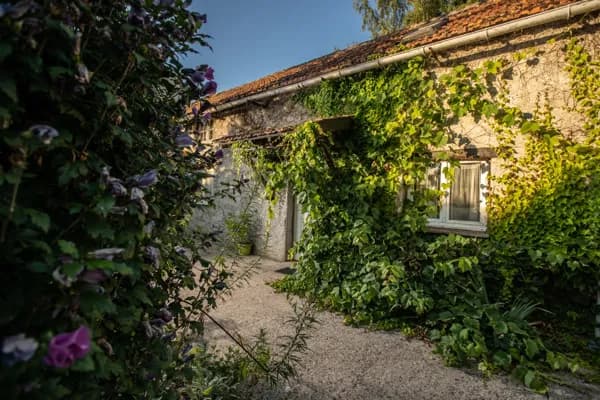 terrasse gîtes les coprins chevelus avec salon de jardin, parasols et barbecue