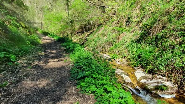 Chemin du Barribès, ruisseau le Barribès