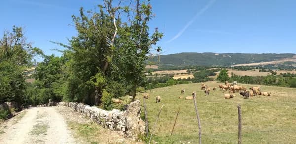 Le Clos des Légendes