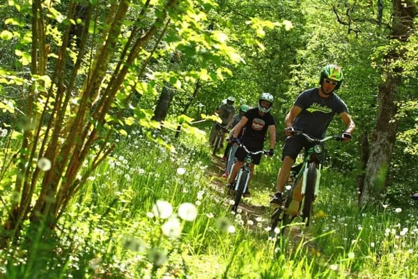 balade en foret