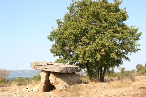 La Maison des Dolmens (groupes)