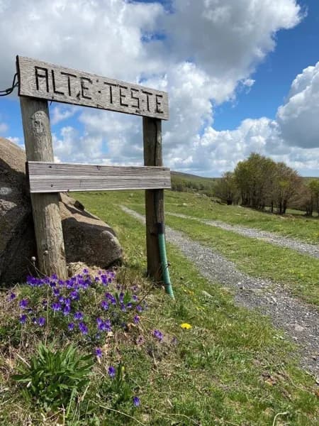 Buron d'Alteteste