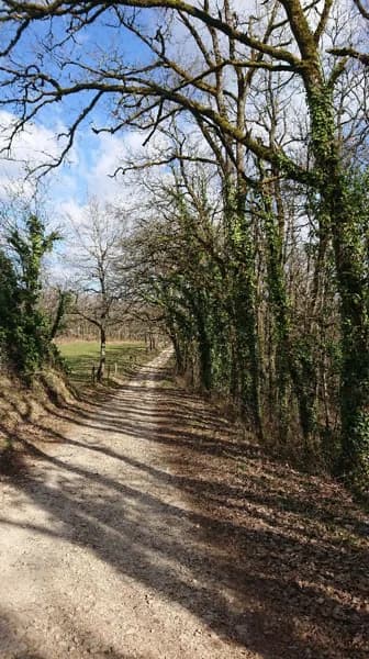 Le Tombeau du Géant - Parcours pédagogique, livret jeu