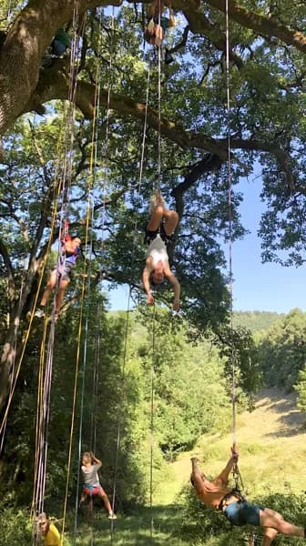 A la croisée des Arbres : Grimpe d'arbres