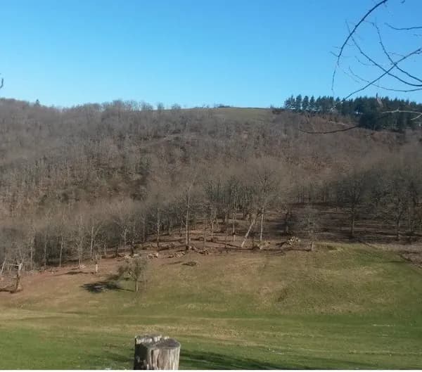 les travaux dans les forêts à la ferme de daoudou