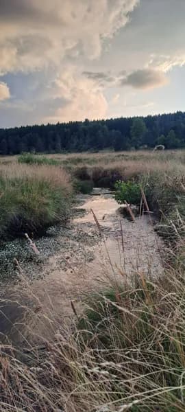 Sortie : A la découverte du monde discret des rivières, à Aubrac