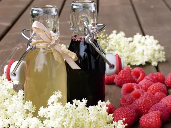 Atelier nature : fabriquer un sirop de baies
