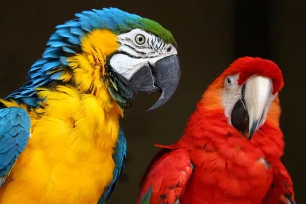 Paco & Rita
