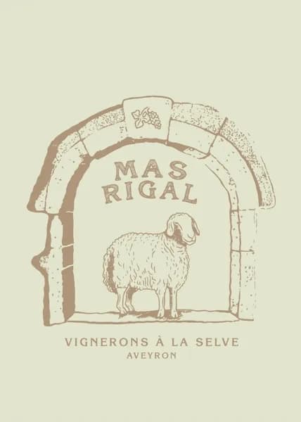 Visite du caveau Mas Rigal à La Selve
