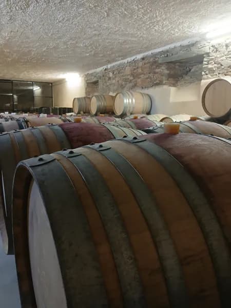 Visite du caveau Mas Rigal à La Selve