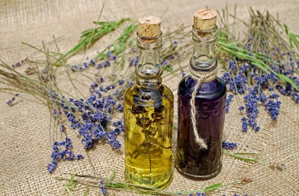 Atelier découverte des hydrolats et chants des plantes