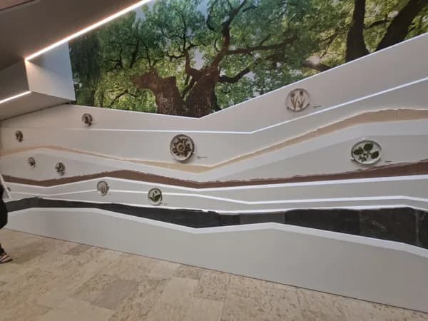 Espace Patrimoine et Paysages - accueil