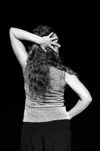 Spectacle "Croire aux fauves"