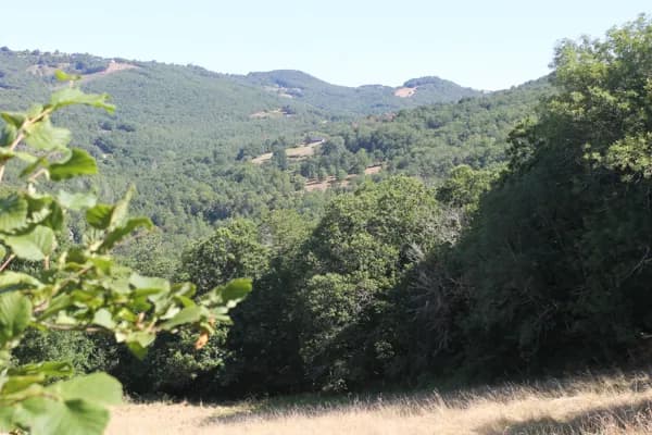 La Tonnellerie