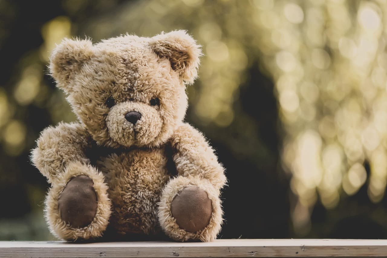 teddy-5207189_1280.jpg
