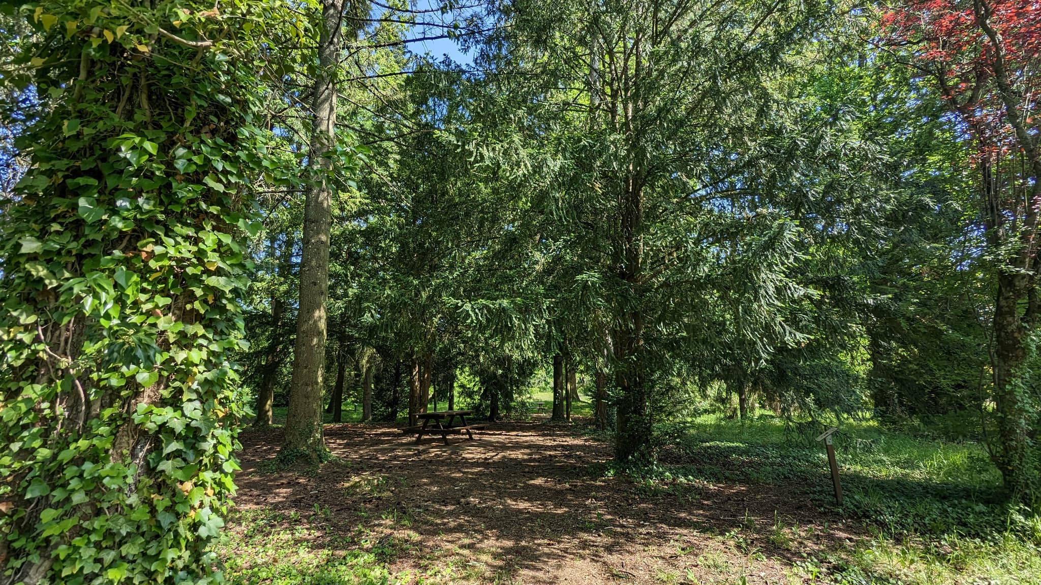Arboretum Brienne 2023 ©A. LOISON (13).jpg