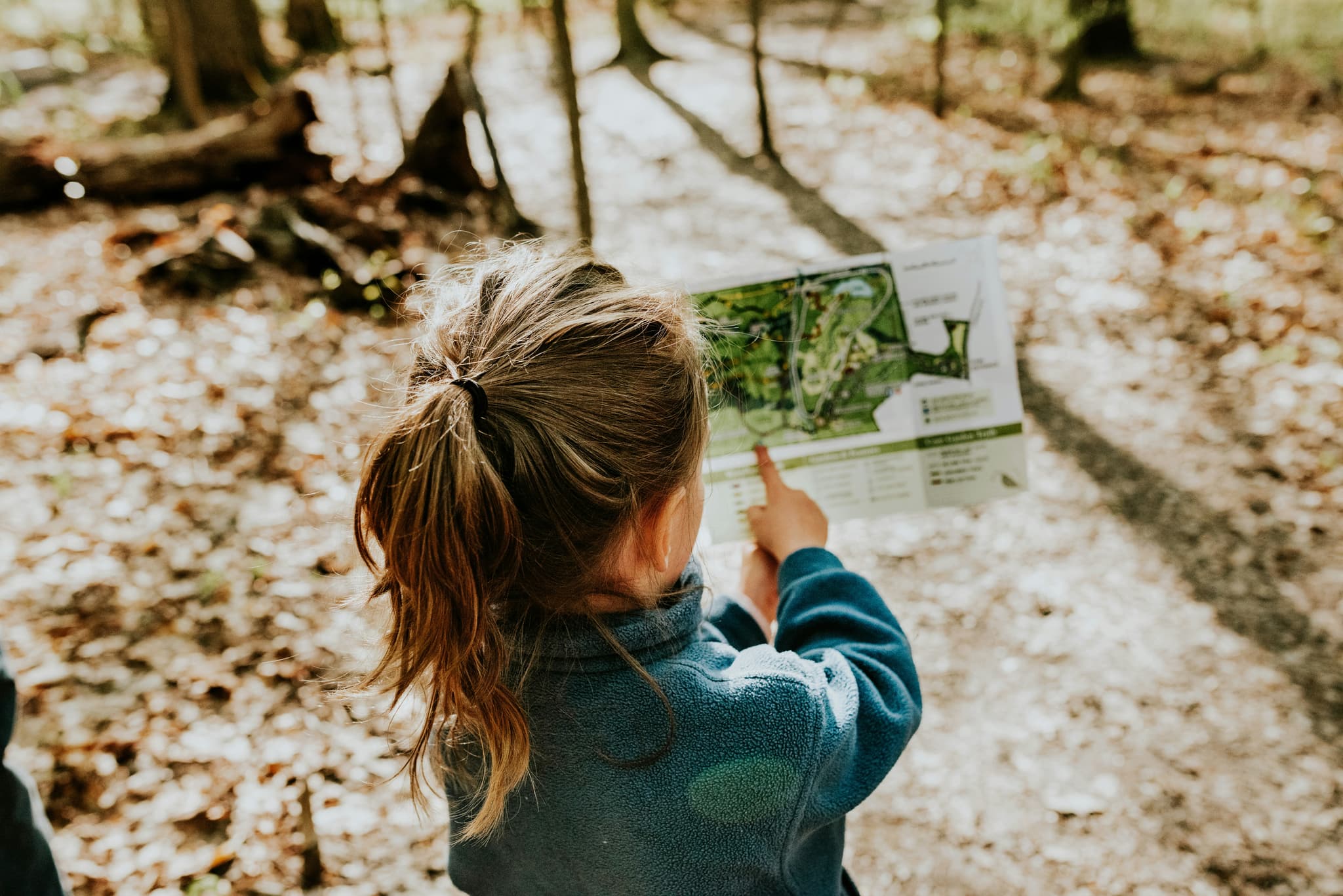 Petit explorateur.jpg