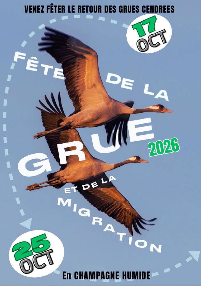 2026 10 - Fête de la grue.jpg