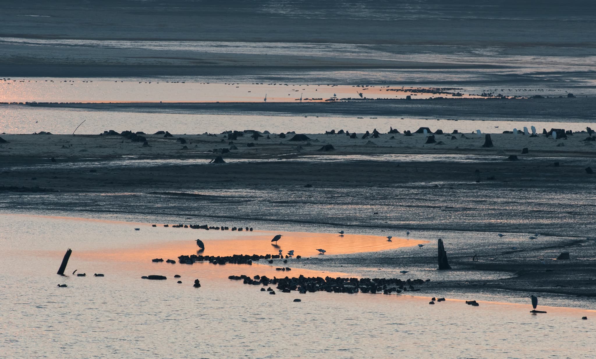 Bulles au crépuscule sur les lacs d'Orient
