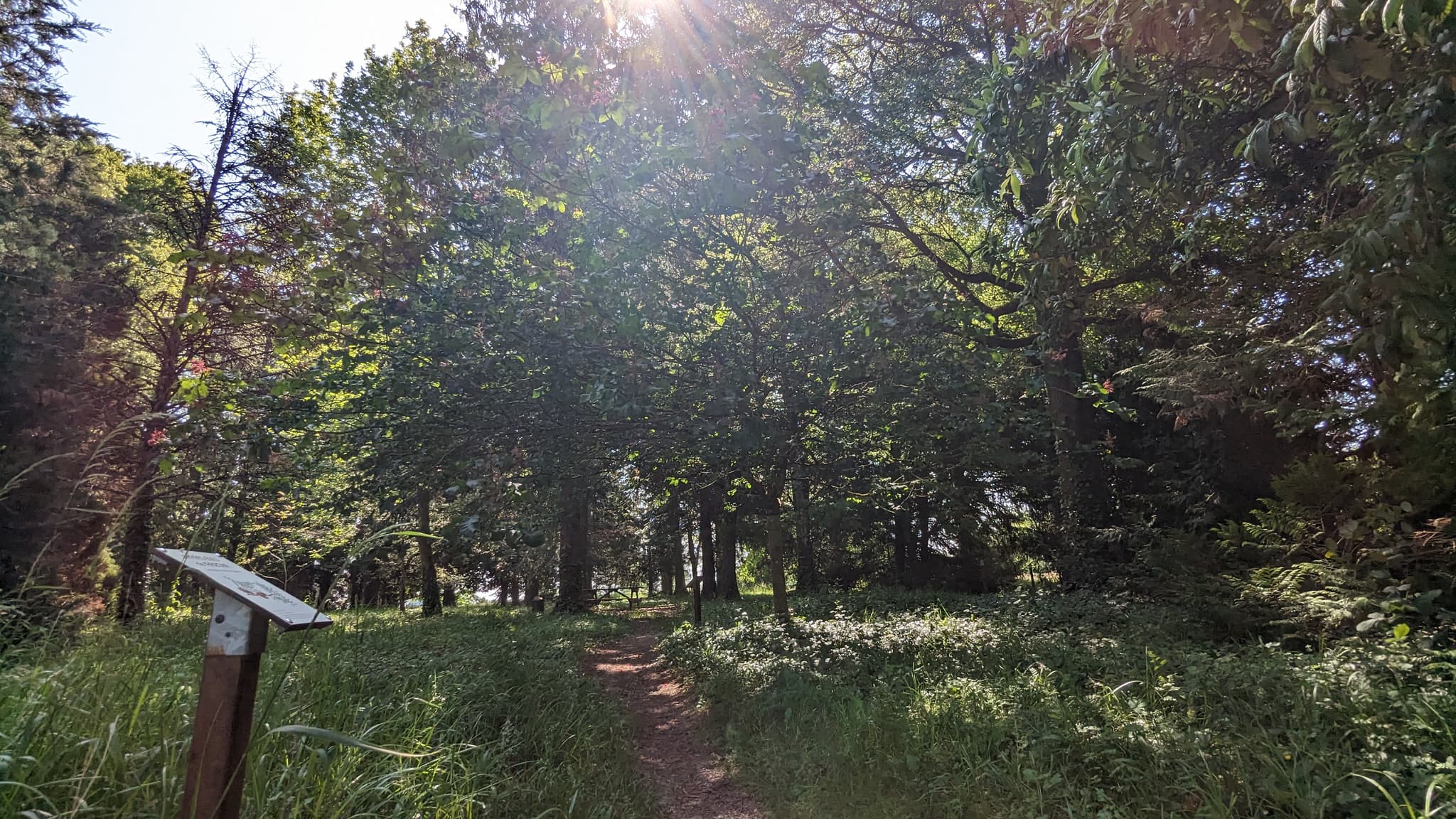 Arboretum Brienne 2023 ©A. LOISON (4).jpg