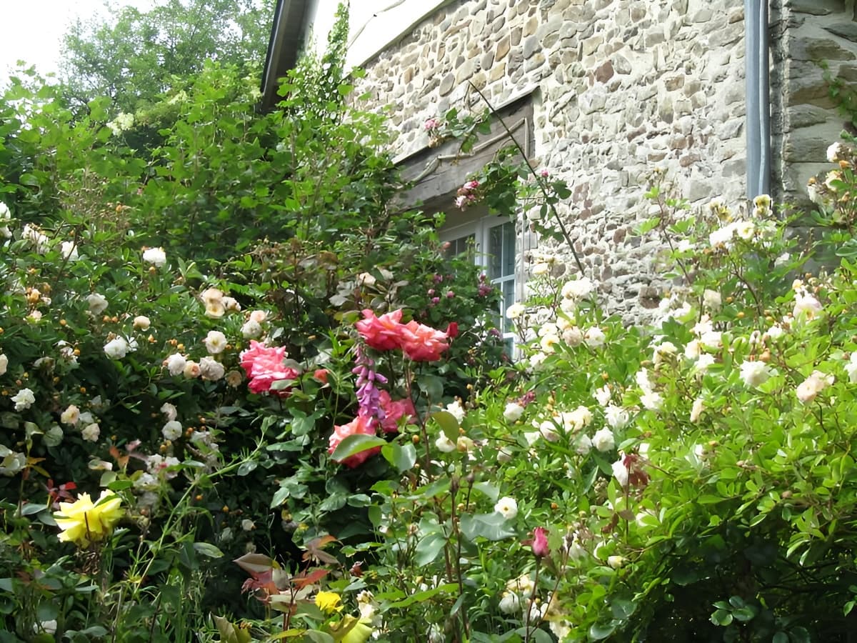Les Magnolias