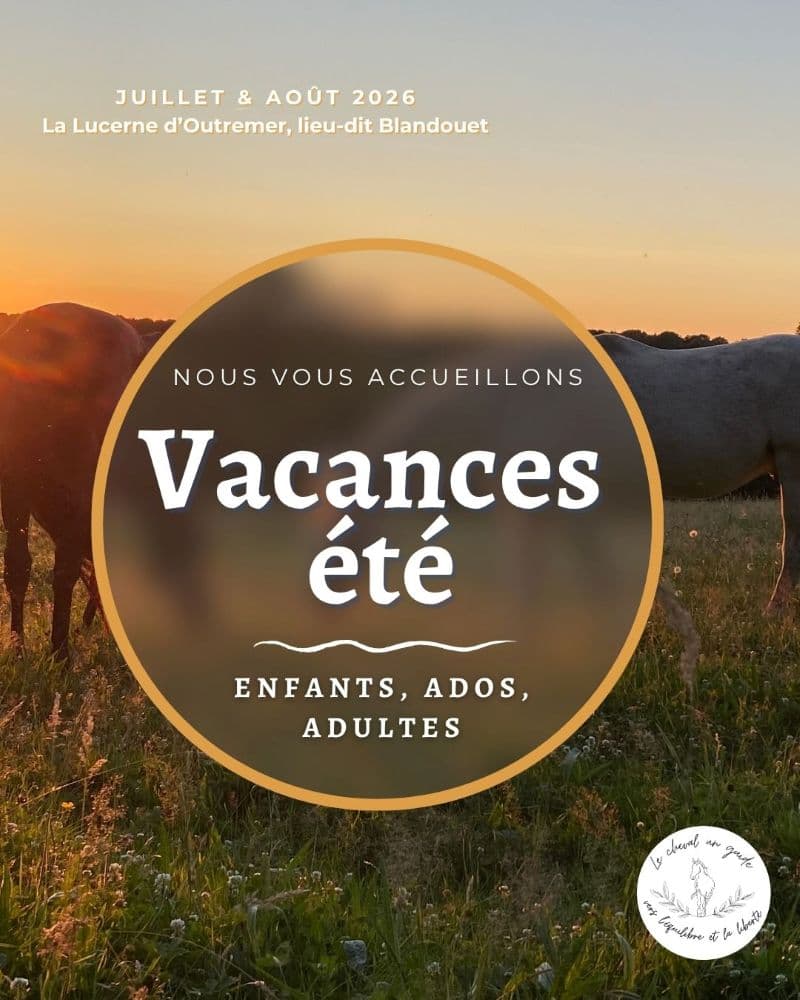 2026 - vacances d'été à l'asso