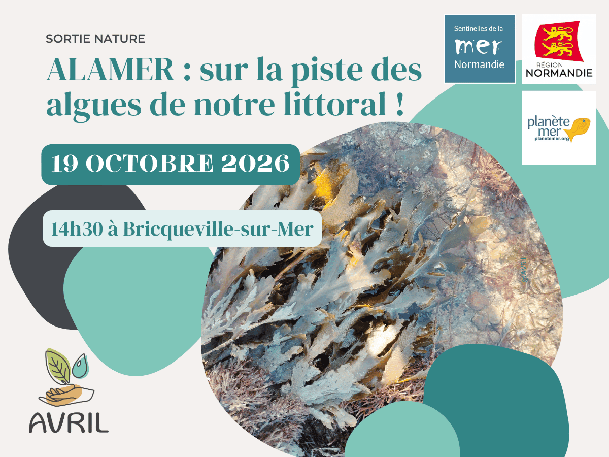 Tourinsoft 1200x900 - 20261019_ALAMER_bricquevillesurmer