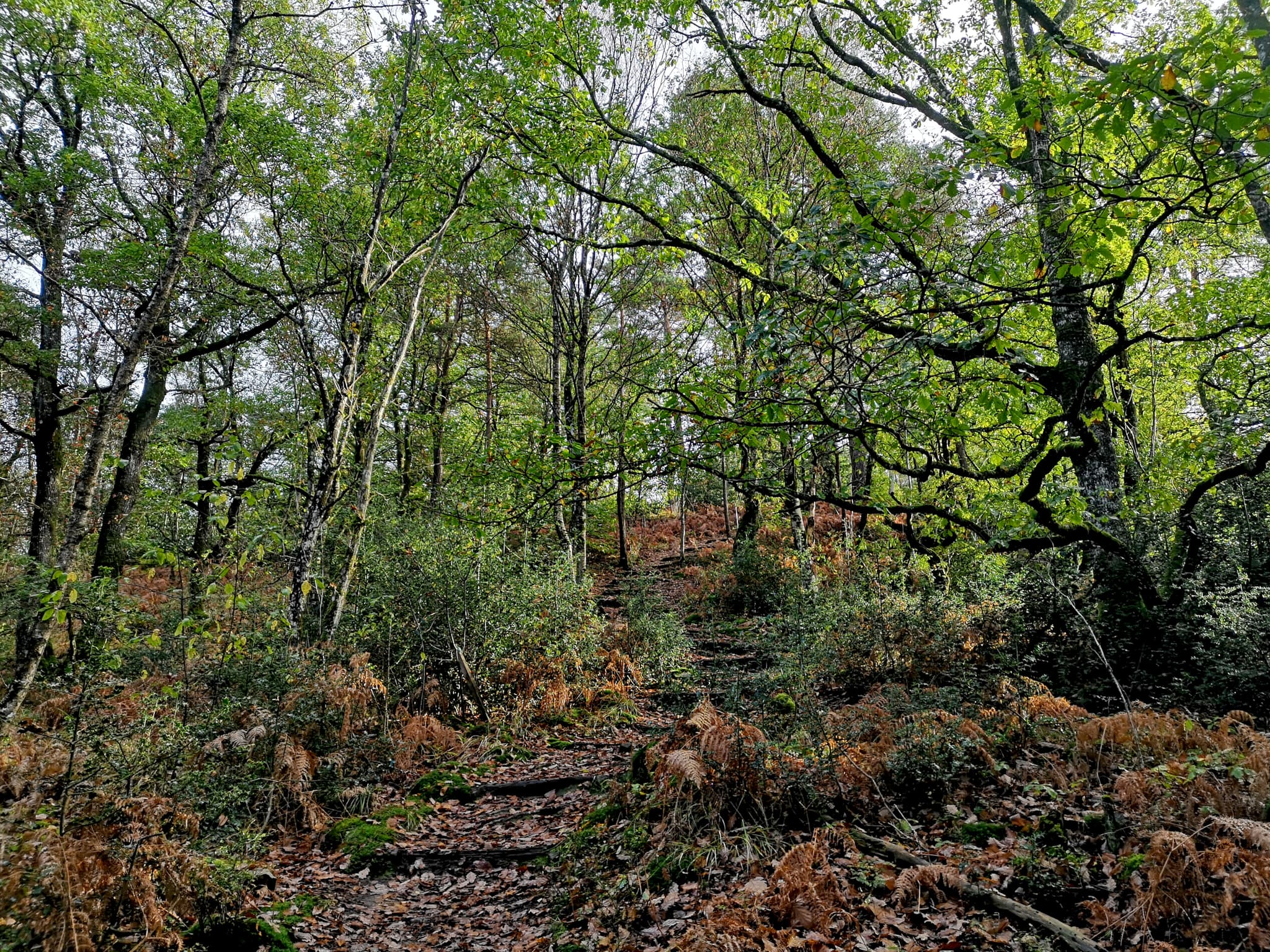 26_FA_20102026