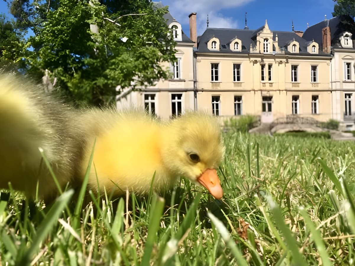 Domaine de Ouézy