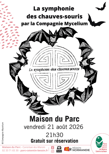 AFFICHE_SYMPHONIE_DES_CHAUVES-SOURIS