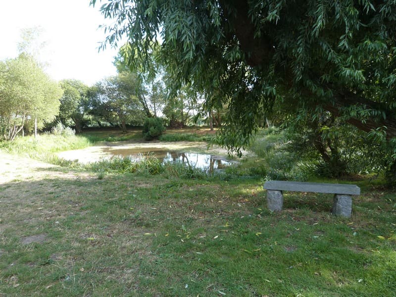 Agon-Coutainville - Aire de pique nique - La Mare de la commune (6)