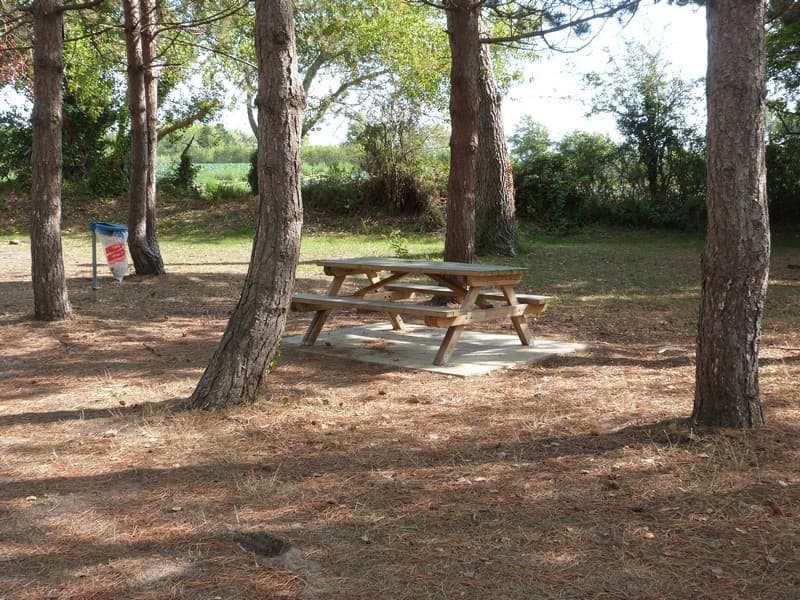 Agon-Coutainville - Aire de pique nique - La Mare de la commune (8)