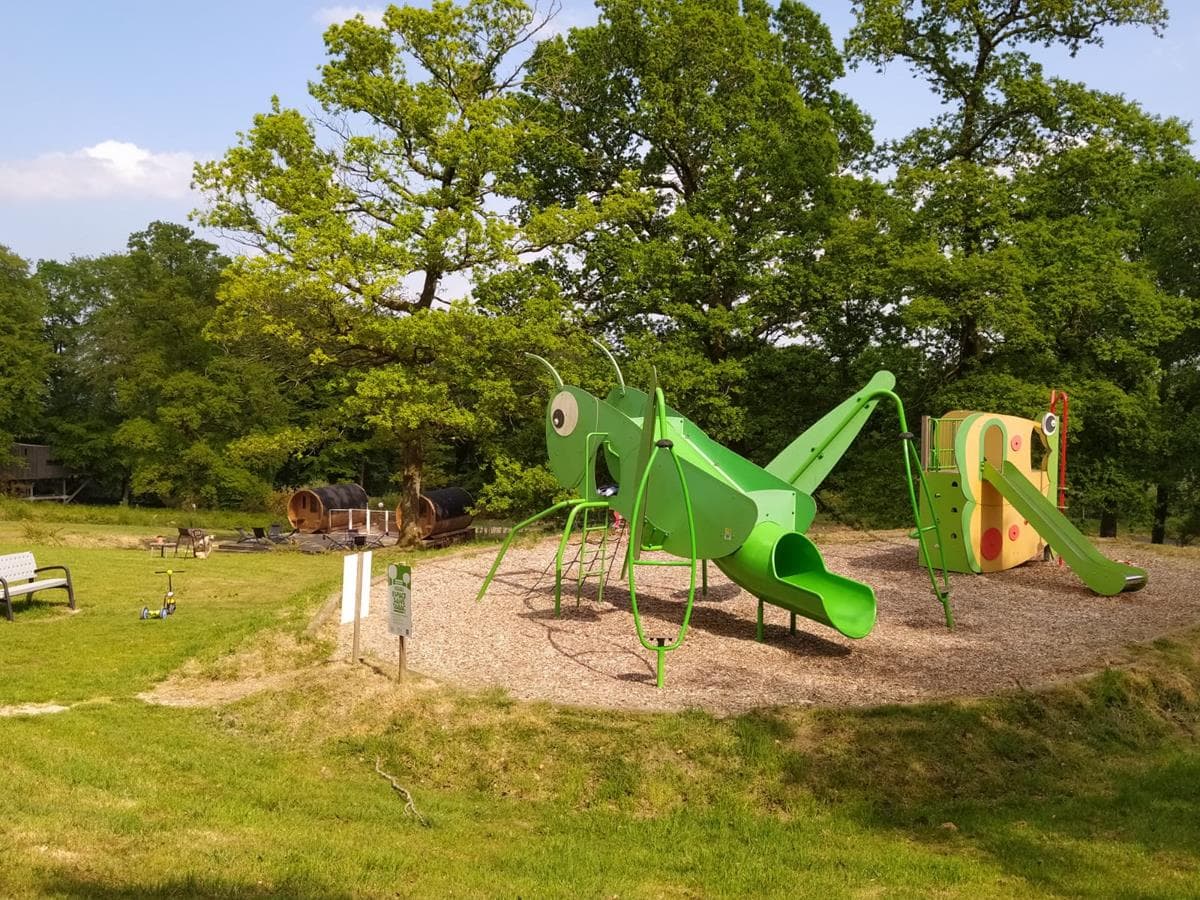 Aire de jeux Etape en foret St Sever Calvados (TIS)