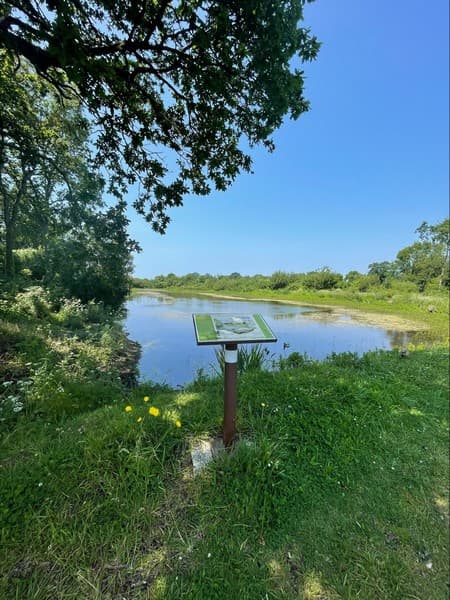 Aire de pique nique blainville sur mer mare aux grenouilles (3)