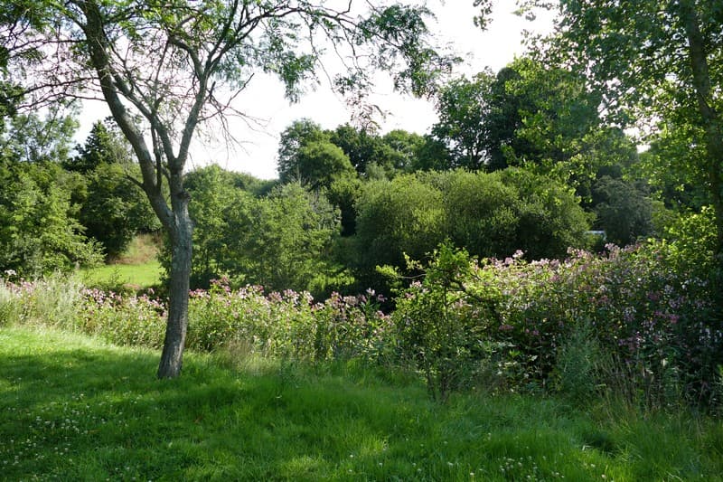 Aire de pique nique quettreville sur Sienne Moulin de sey (7)
