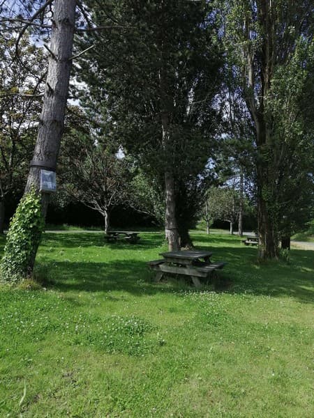 Aire pique nique tourneville sur mer lingreville rue de chausey (4)