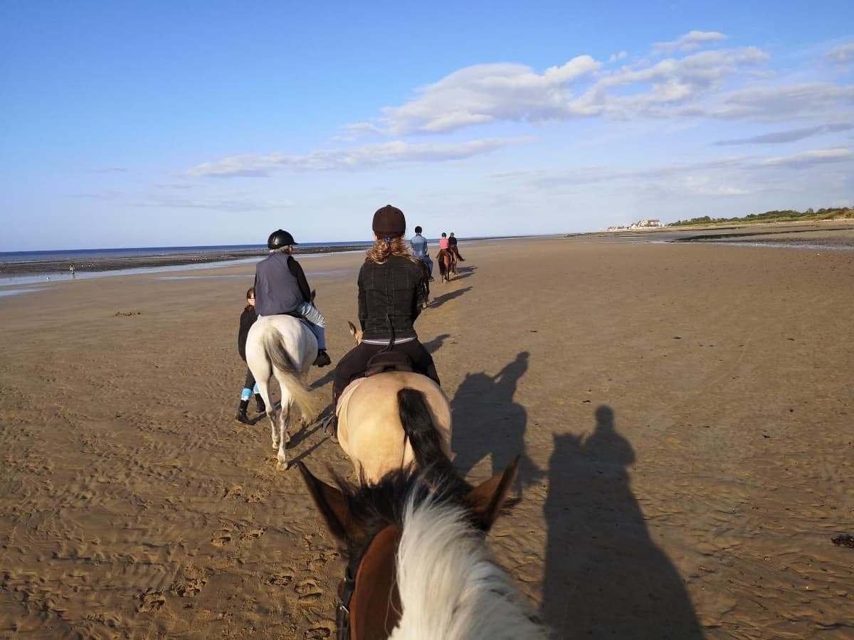 BALADE-A-CHEVAL-PLAGE-COURSEULLES-SUR-MER-CREDIT-AMELIE-PANKOW