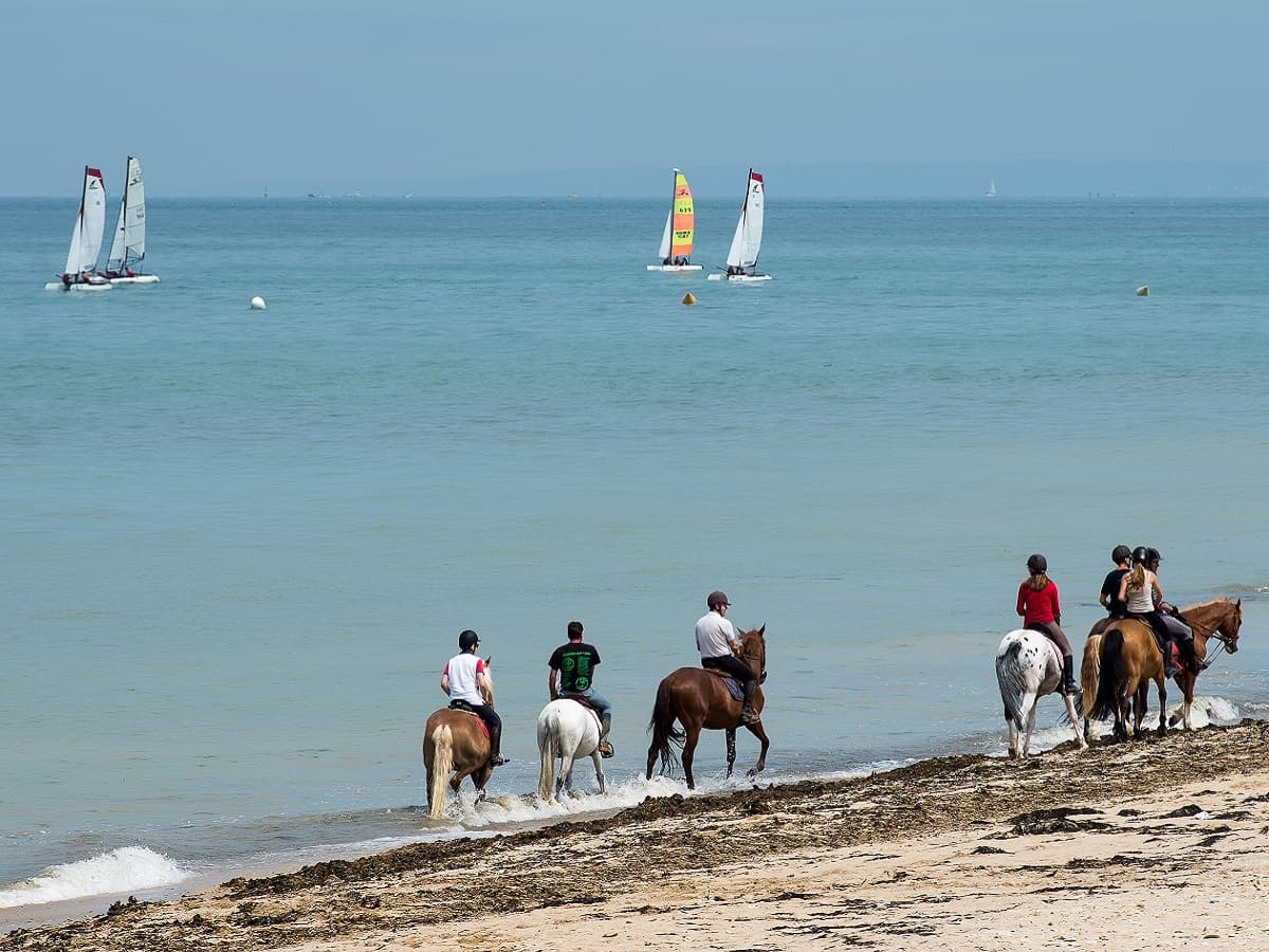 BALADE-CHEVAL-BORD-DE-MER-TOURISME-VERT-RANDO-EQUESTRE-CREDIT-DIDIER-BORDAS-2015