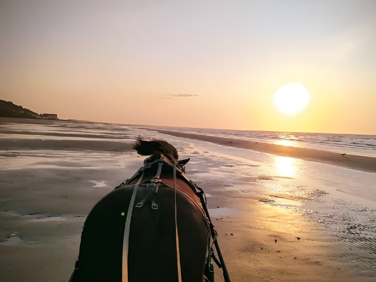 Balade en calèche sur la plage, Houlgate 2