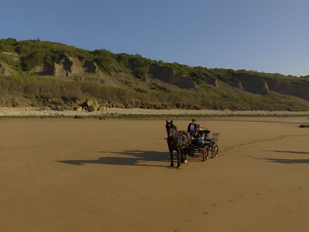 Balade en calèche sur la plage, Houlgate