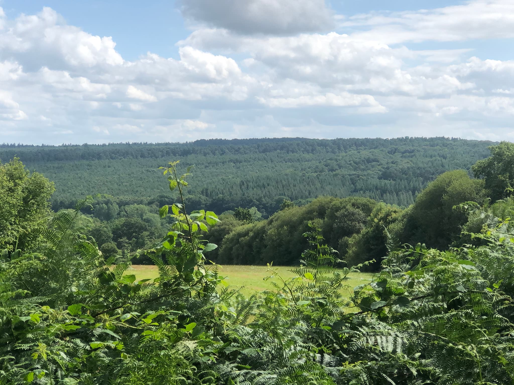 CH_LP_CRAIG_VUE.jpg