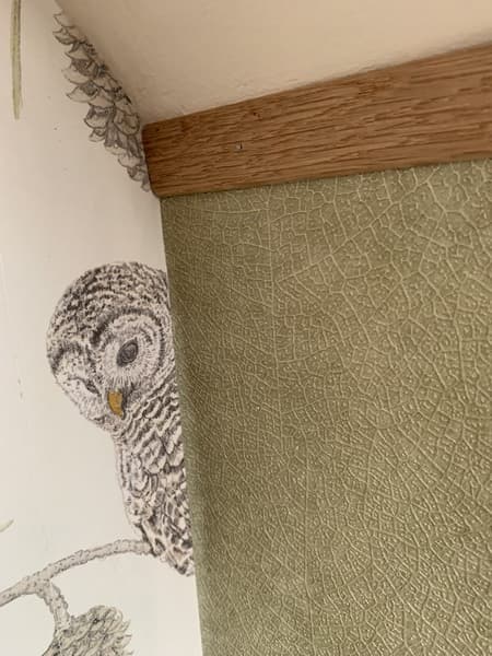 Chambres dhotes gouville sur mer lison aline Bocage et coquillage (5)