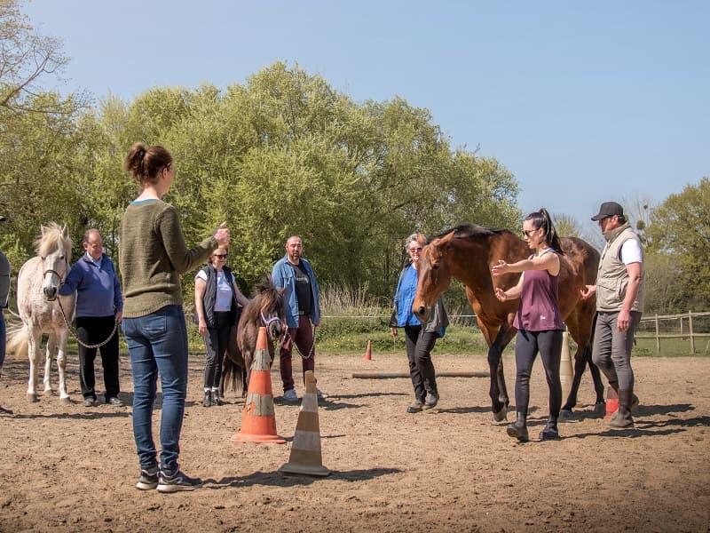 Le cheval emeraude(2)