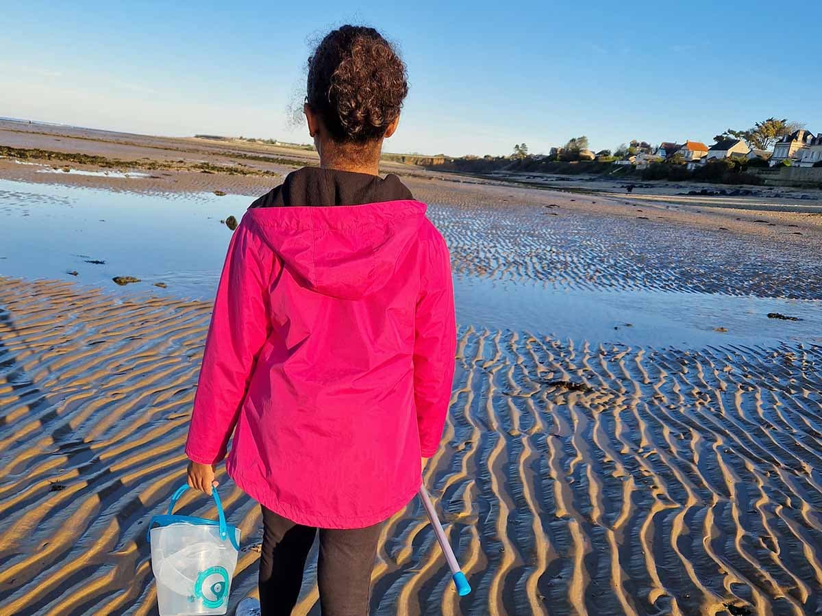 Découverte des espèces sur la côte du Calvados