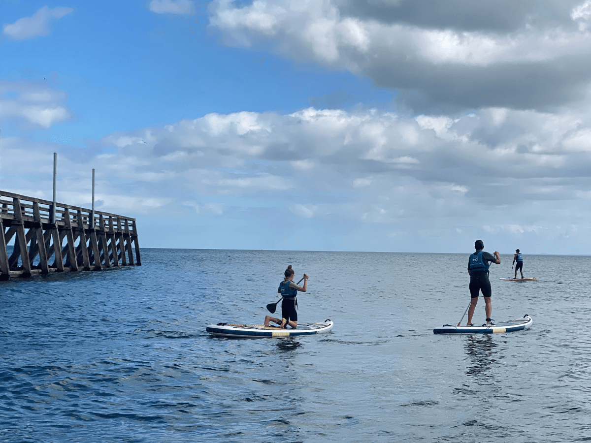 PADDLE LYC - 1