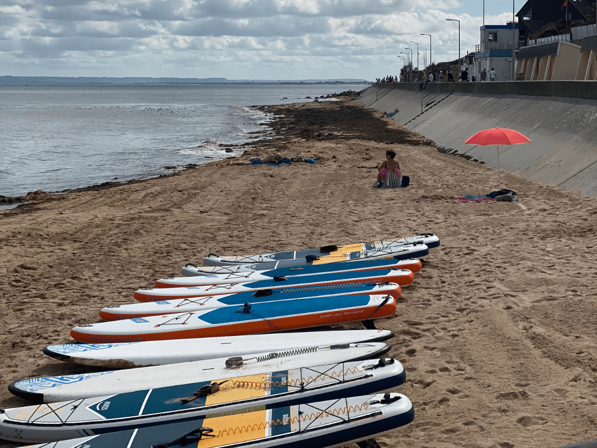 PADDLE LYC