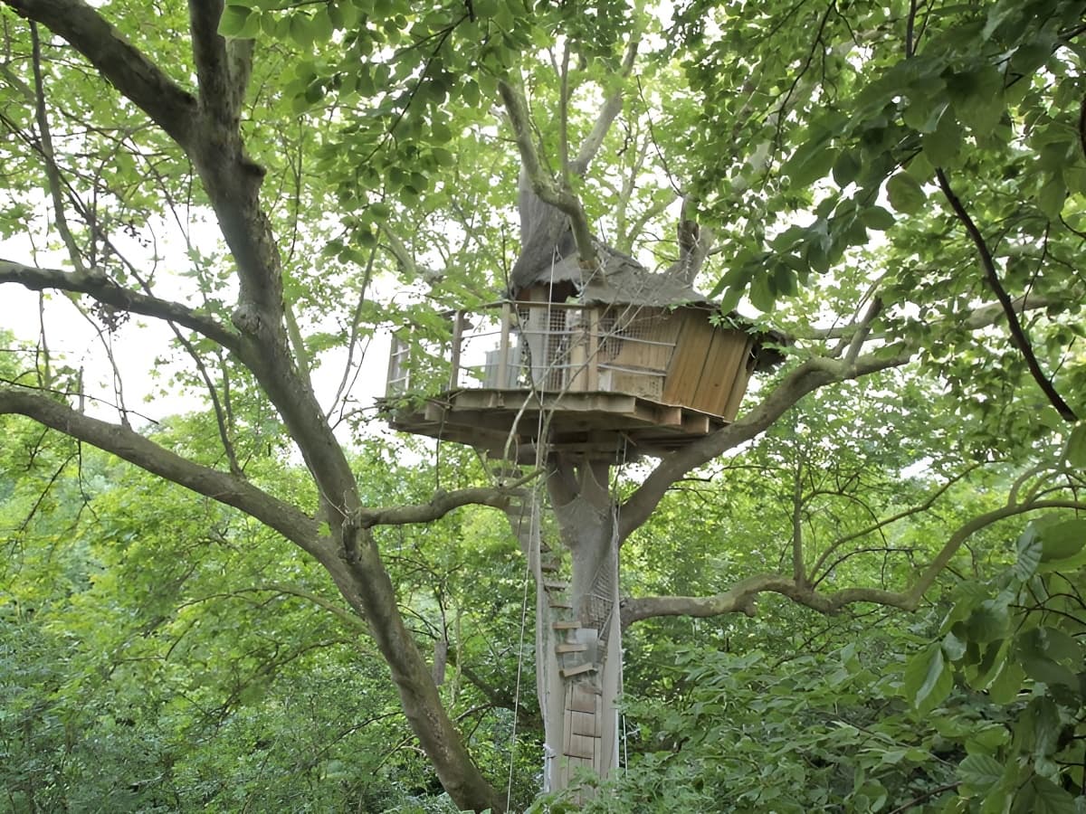 Domaine de Ouézy - Cabane perchée out