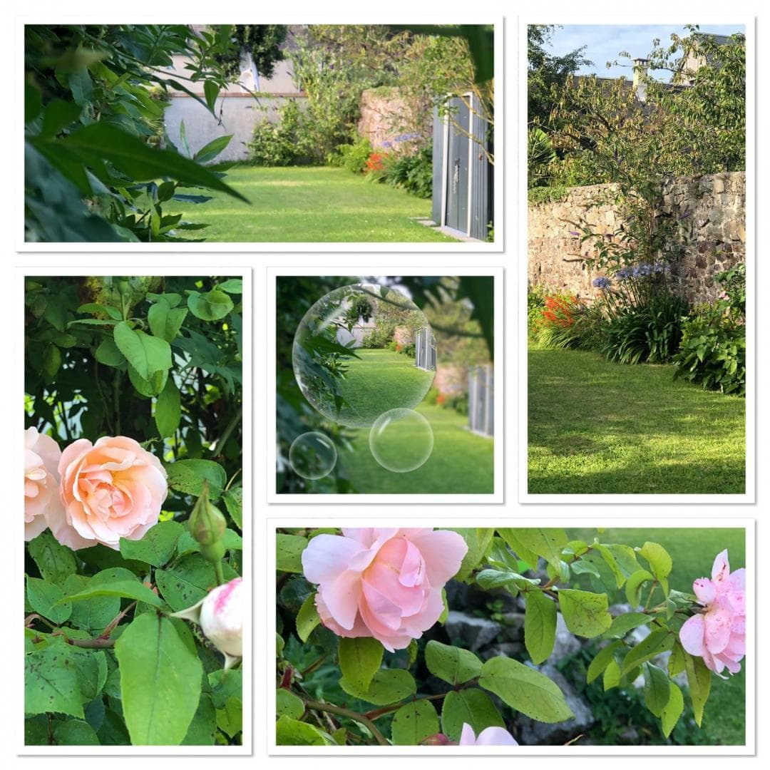 Au Jardin iodé