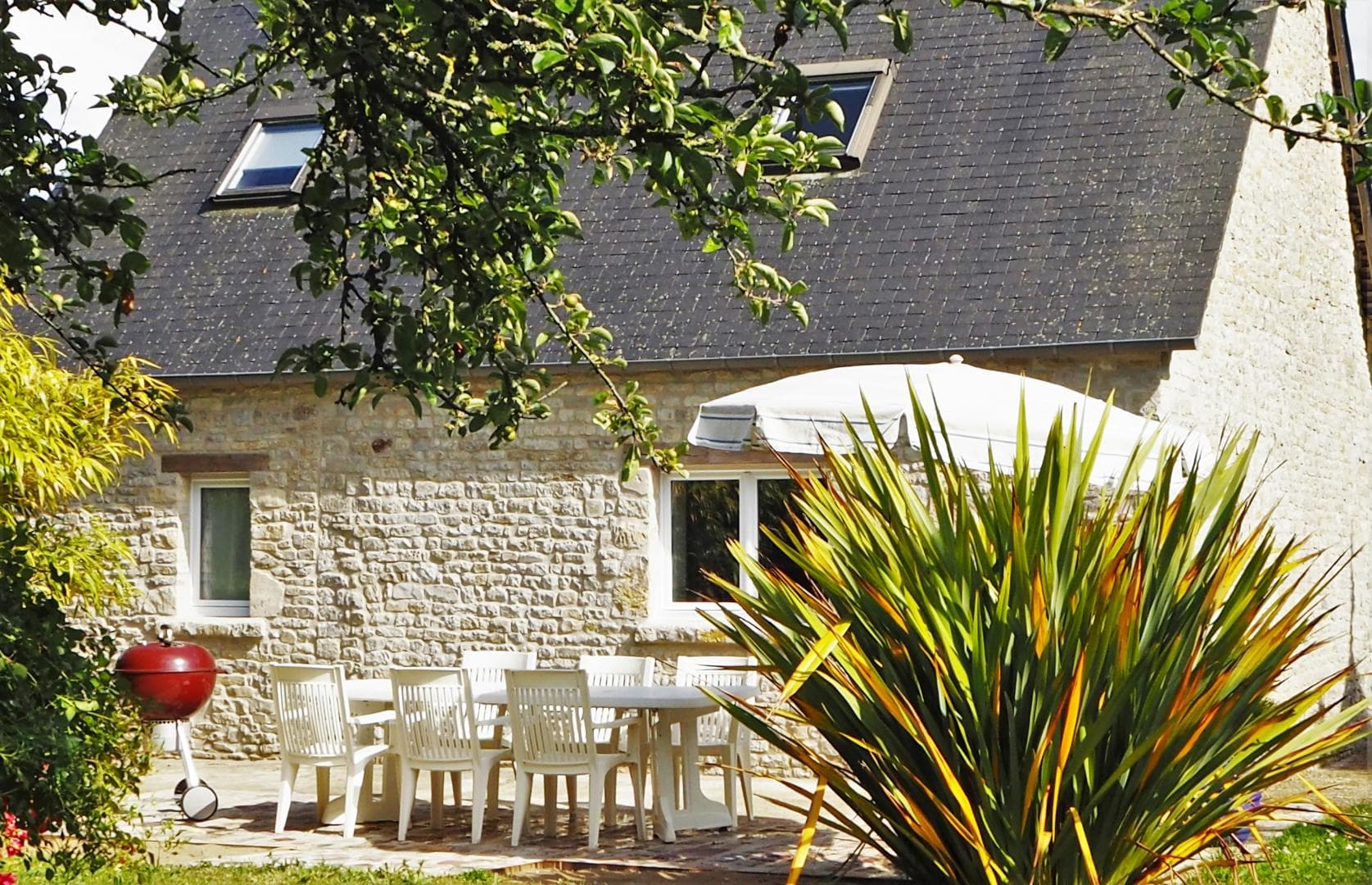 Le Jardin du Marais - Les Gunneras