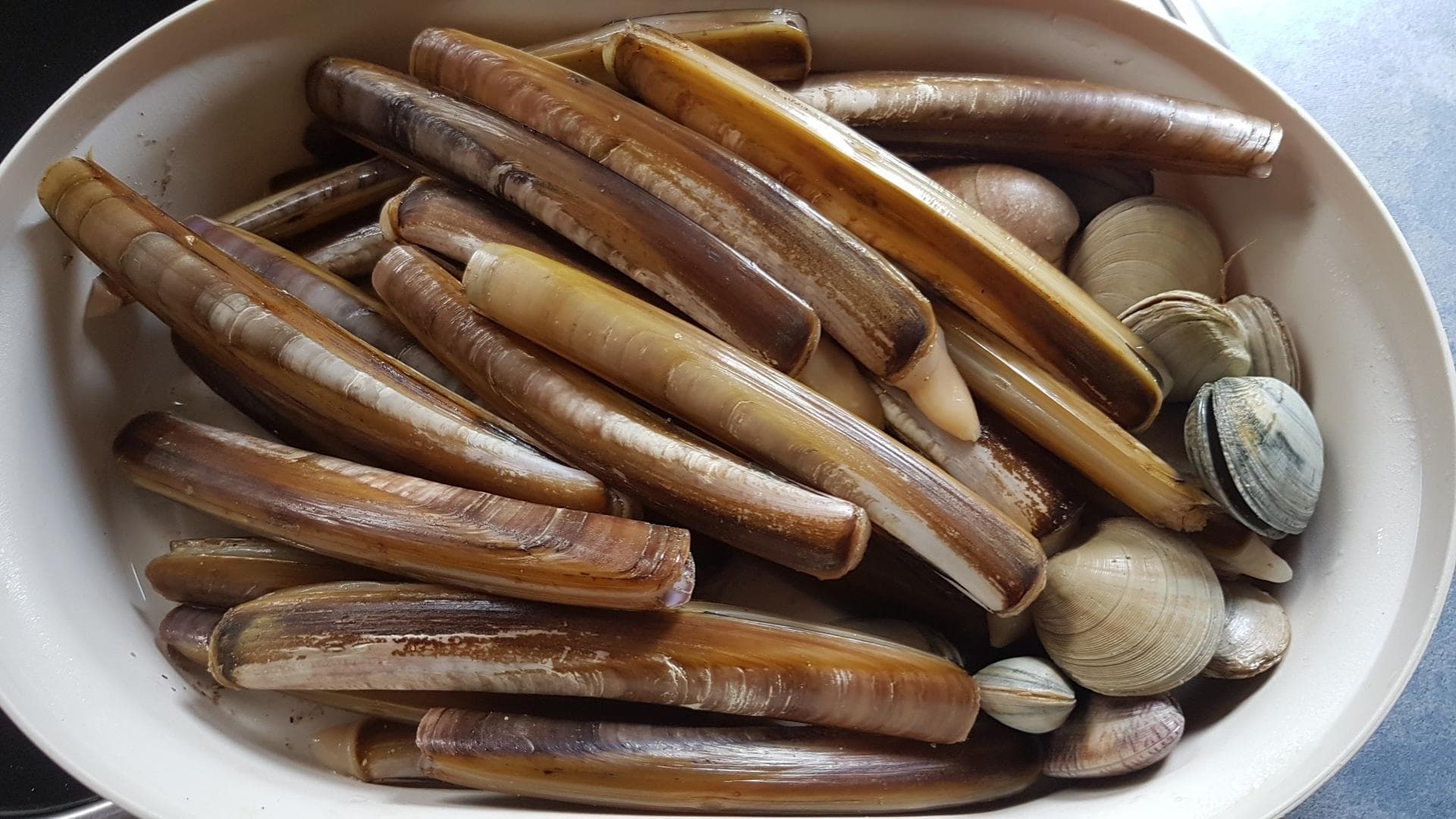 Les Gravelots